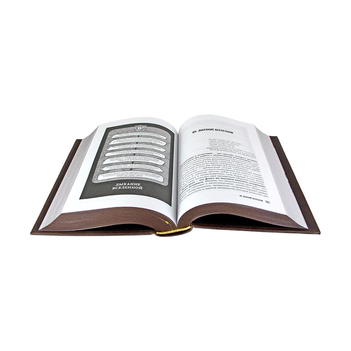 The leather-bound book "Karmacoach" by A.P. Sitnikov